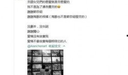 艾伦最新爆料消息,最新爆料事件全解析